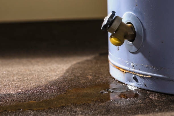 Best Mold removal after water damage  in Everett, MA