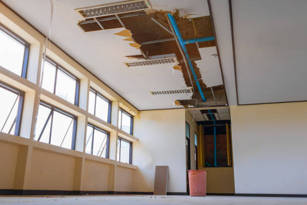 Best Flood damage cleanup  in Everett, MA