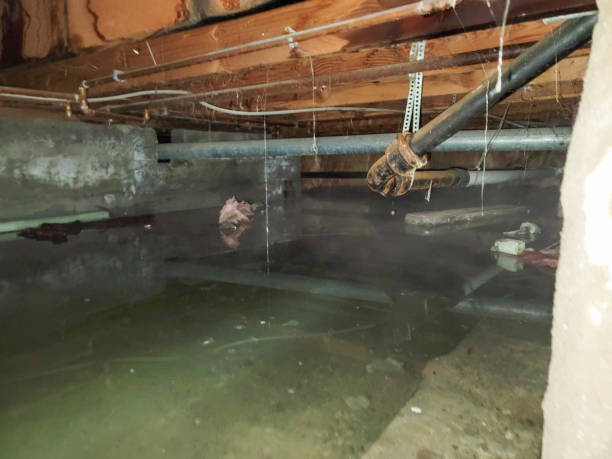 Best 24-hour water damage restoration  in Everett, MA