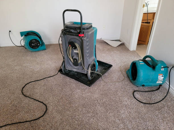 Best Professional water damage repair  in Everett, MA