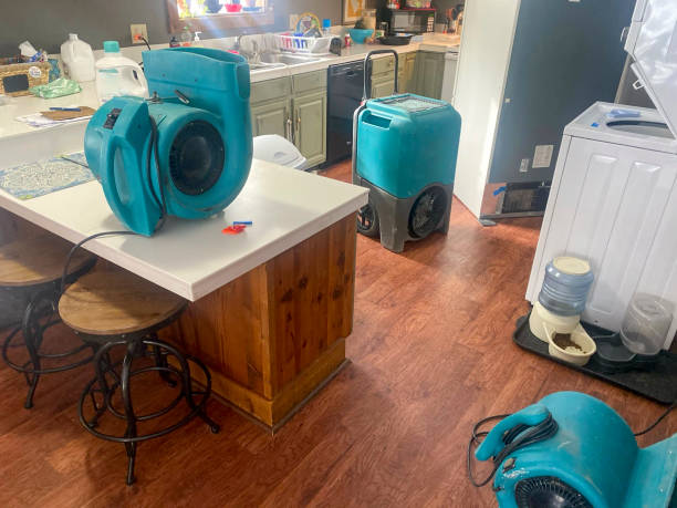 Best Water damage cleanup near me  in Everett, MA