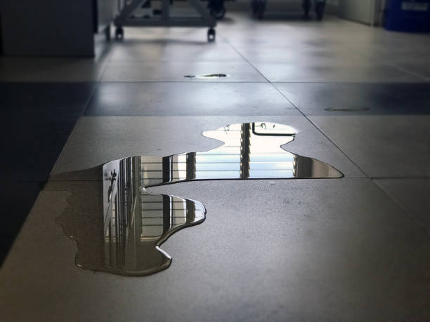Best Water damage repair service  in Everett, MA