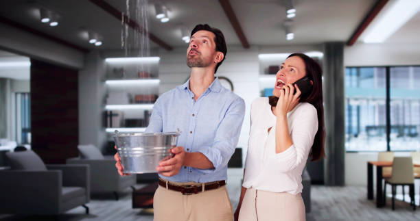 Best Flood restoration services  in Everett, MA